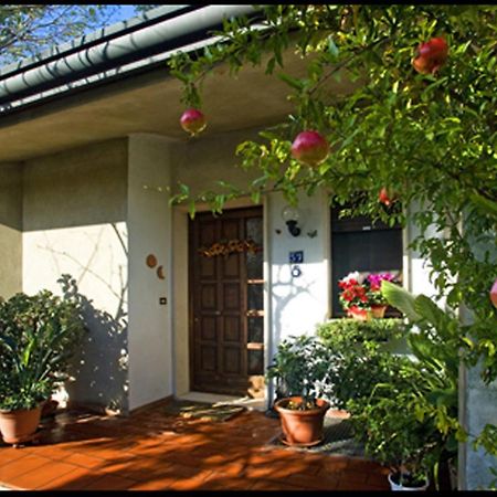B&B Oasi Di Venezia Exterior foto